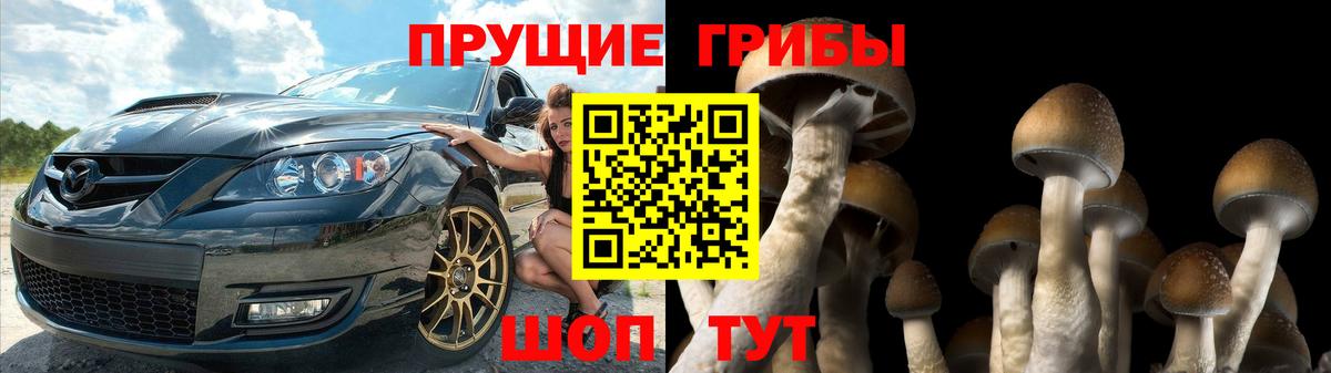 Галлюциногенные грибы Psilocybine cubensis Усолье-Сибирское